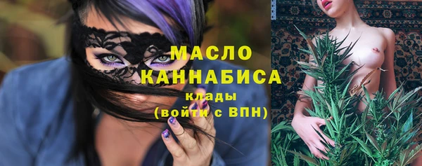прущая мука Вяземский
