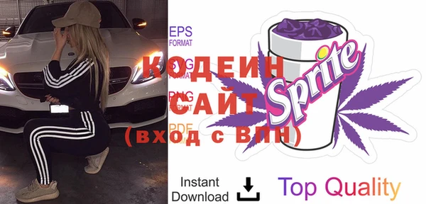 прущая мука Вяземский
